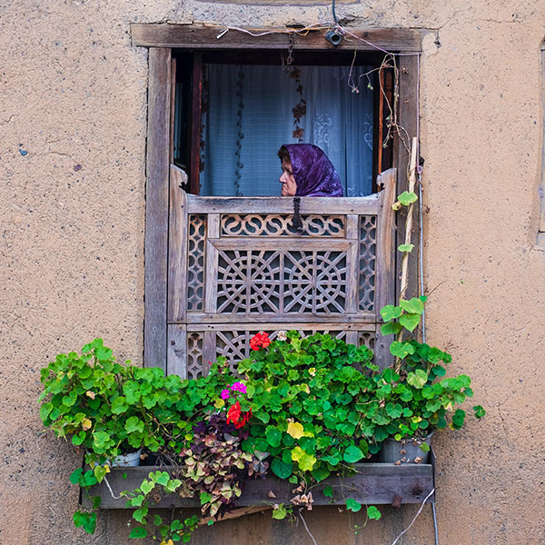 Nouveautés Brobroli : Amélioration de la plateforme et nouvelles fonctionnalités